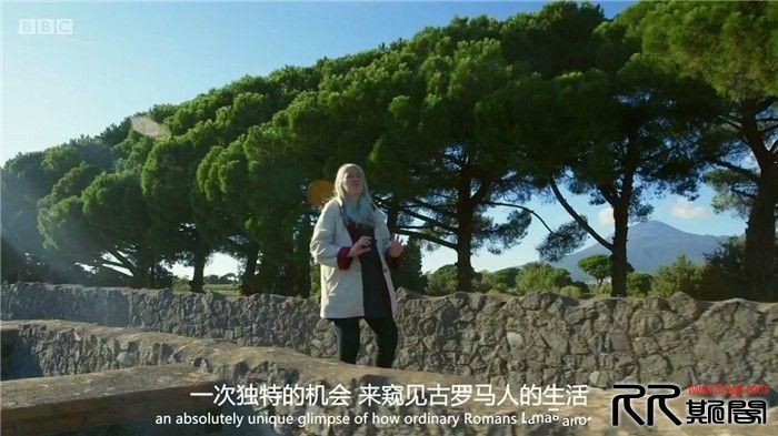 [05.31][英国][纪录][庞贝：最新解密][HD720P-MP4/885MB][英语/中英字幕][16年5月英国历史纪录片][已测]