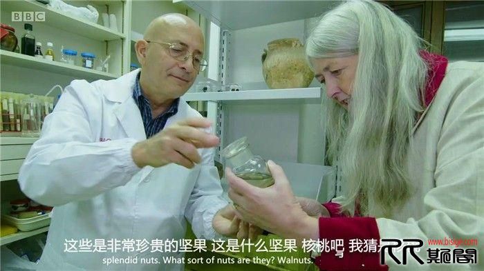 [05.31][英国][纪录][庞贝：最新解密][HD720P-MP4/885MB][英语/中英字幕][16年5月英国历史纪录片][已测]